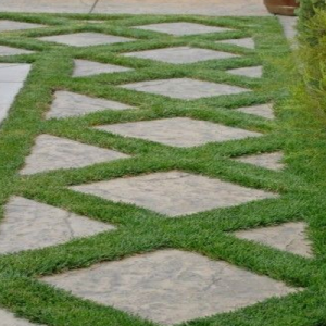 Mortar Adhesives & Waterproofer